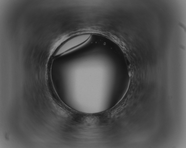 X0000091700248200709071355