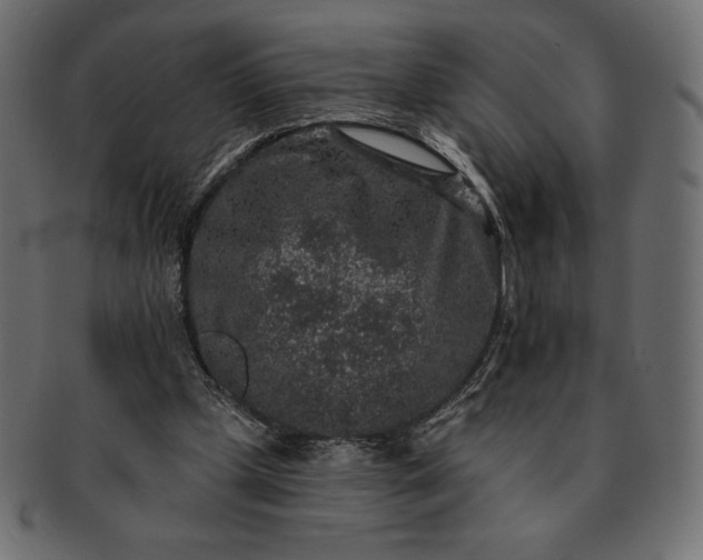 X0000091700249200709071355