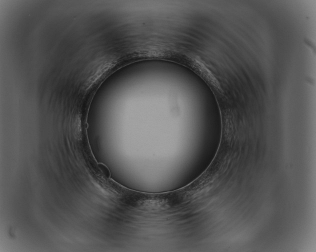 X0000091700251200709071355