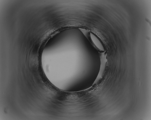 X0000091700252200709071355