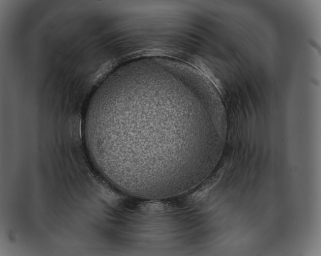 X0000091700253200709071355