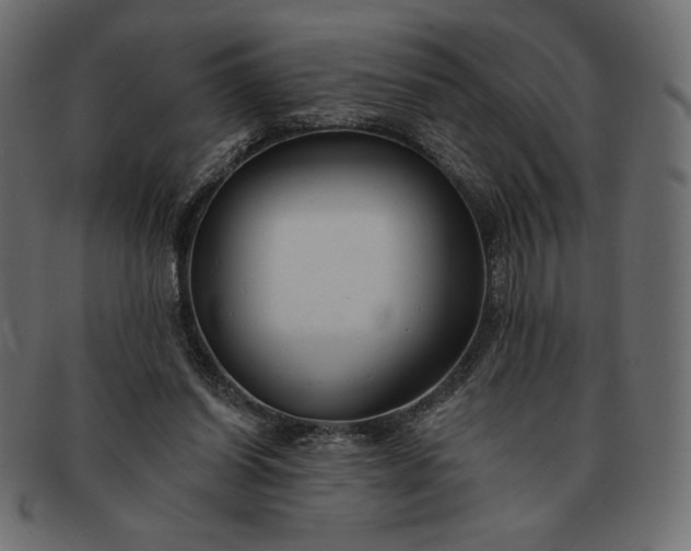 X0000091700254200709071355