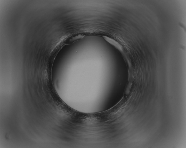 X0000091700256200709071355