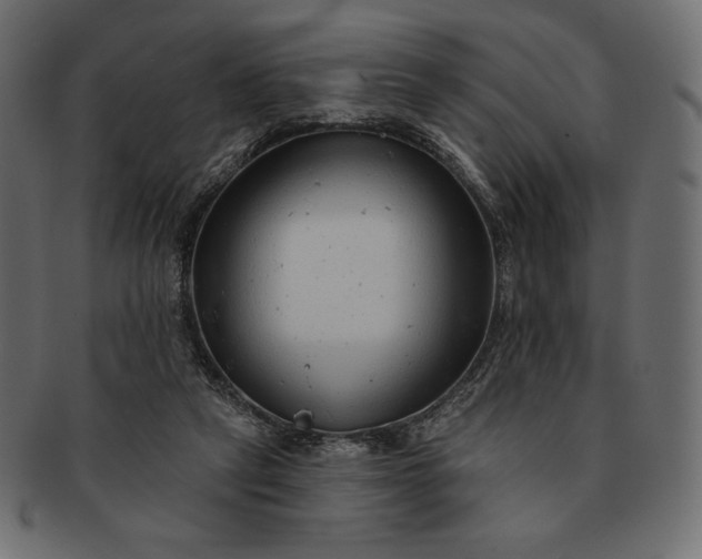 X0000091700257200709071355