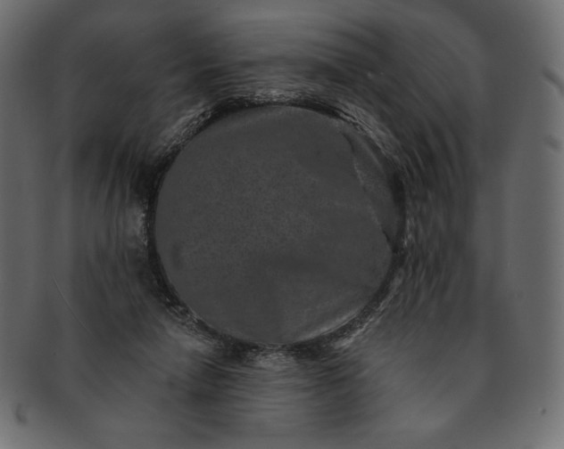 X0000091700258200709071355