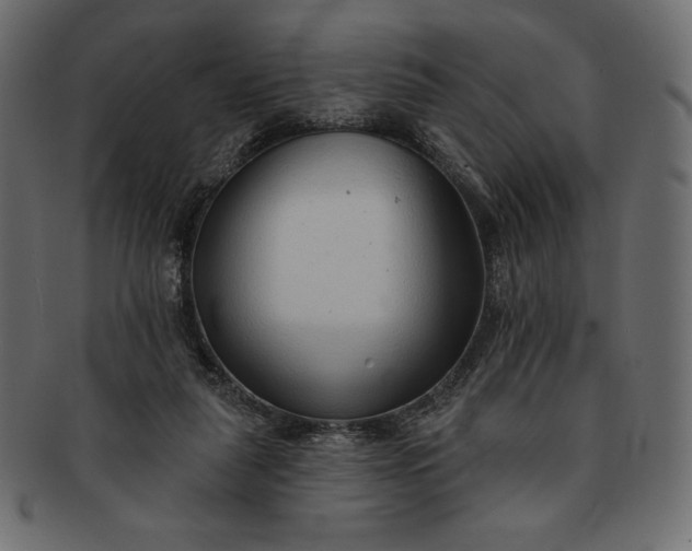 X0000091700259200709071355