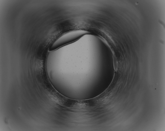 X0000091700260200709071355