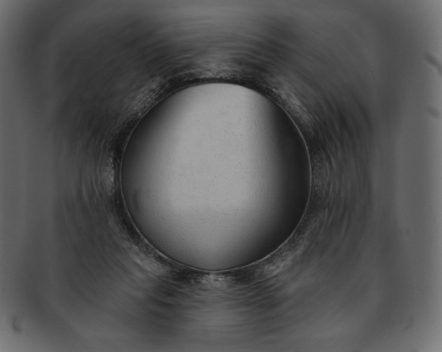 X0000091700261200709071355