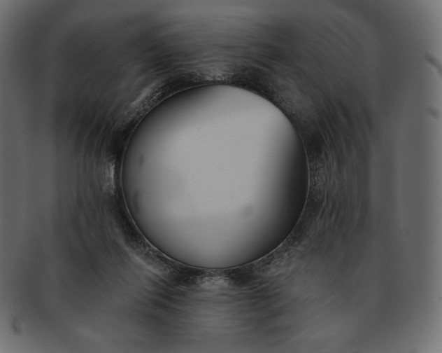 X0000091700262200709071355