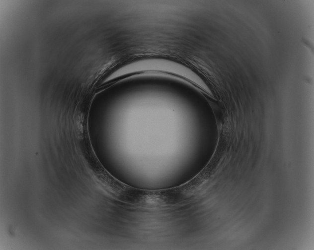 X0000091700264200709071355