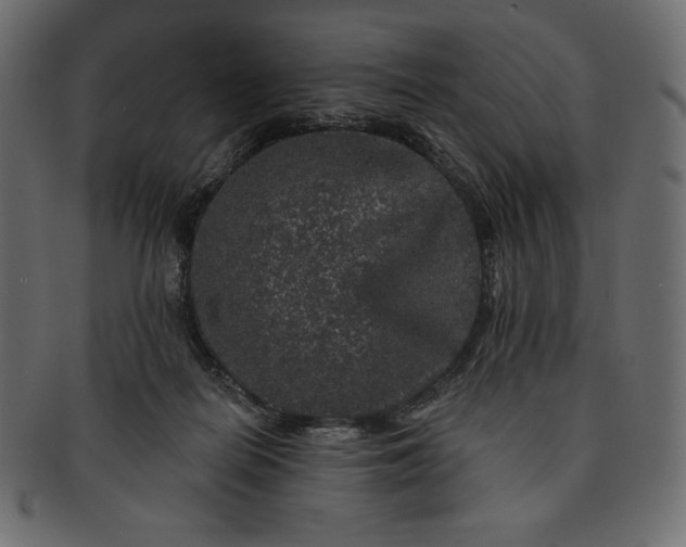 X0000091700266200709071356