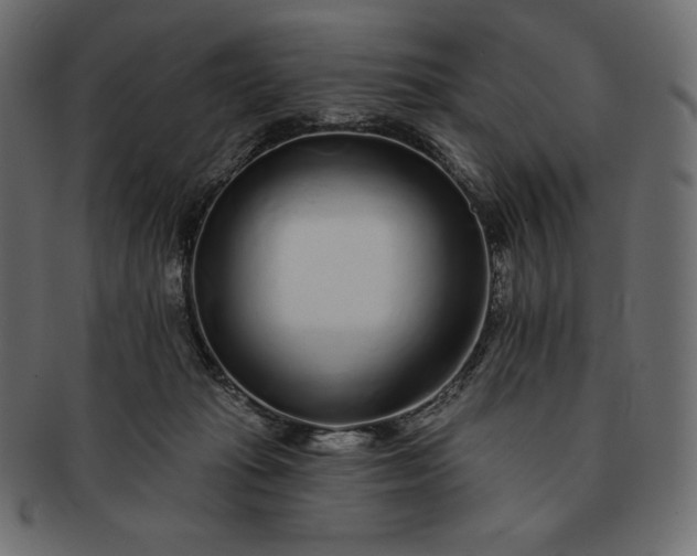 X0000091700269200709071356