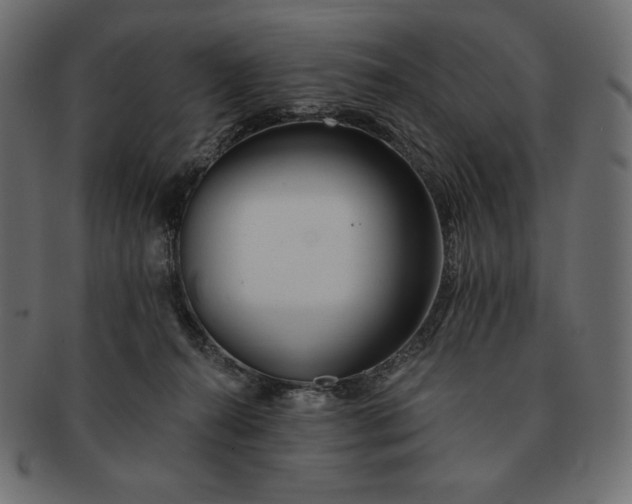 X0000091700272200709071356