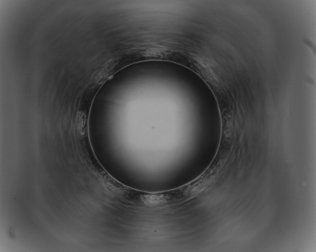 X0000091700273200709071356