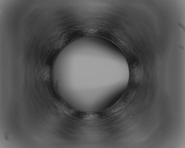 X0000091700274200709071356