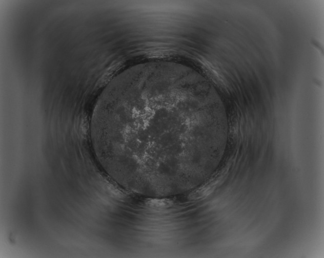 X0000091700277200709071356