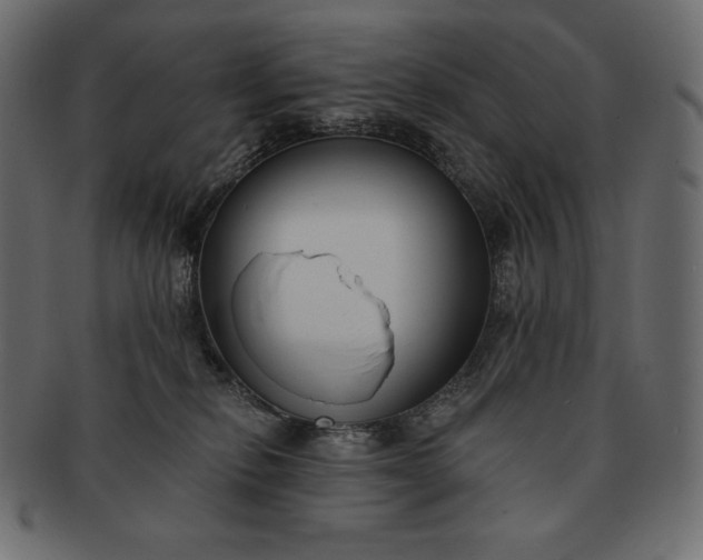 X0000091700278200709071356