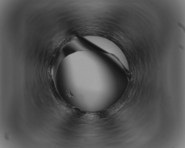 X0000091700280200709071356