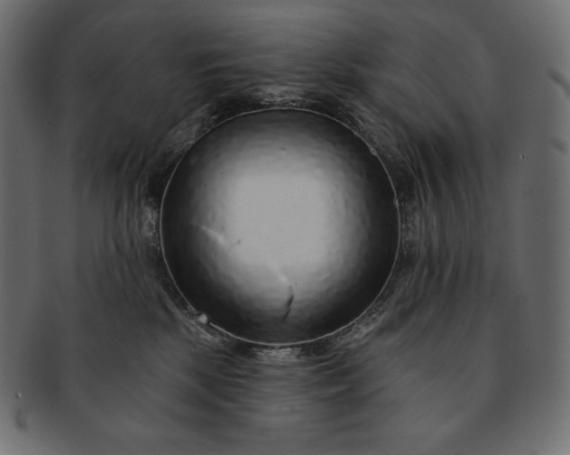 X0000091700281200709071356