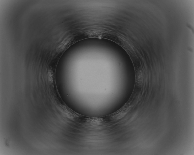 X0000091700282200709071356