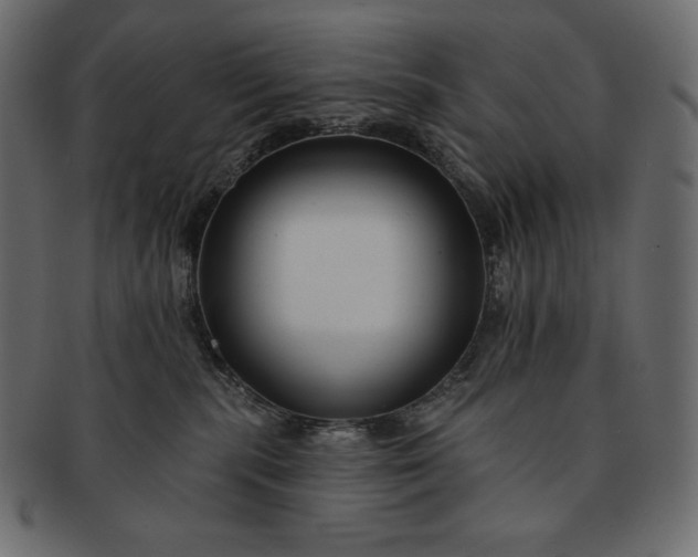 X0000091700283200709071356