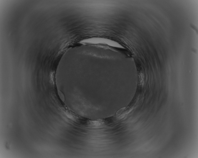 X0000091700286200709071356