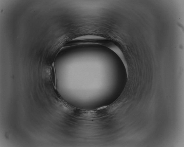 X0000091700288200709071356