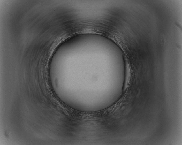 X0000091700289200709071355