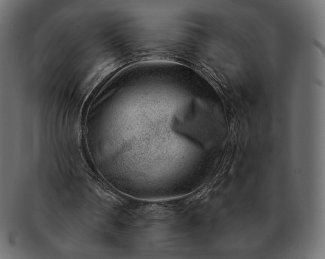 X0000091700290200709071355