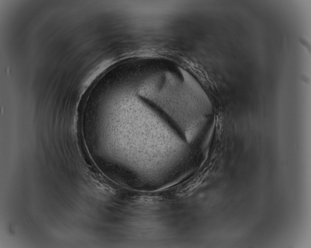 X0000091700292200709071355