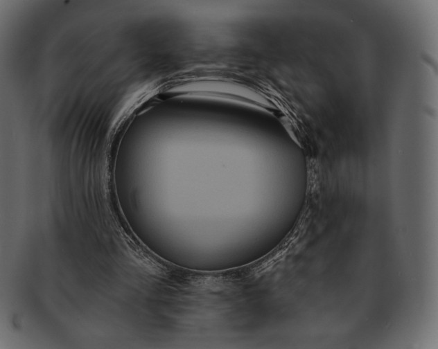 X0000091700293200709071355