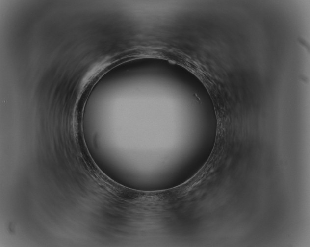 X0000091700294200709071355