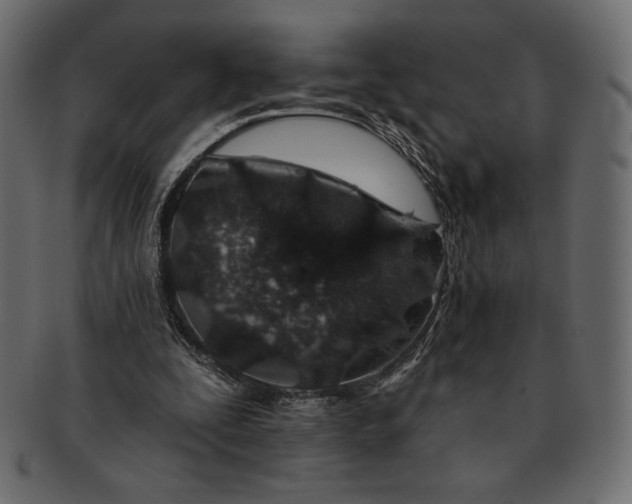 X0000091700295200709071355