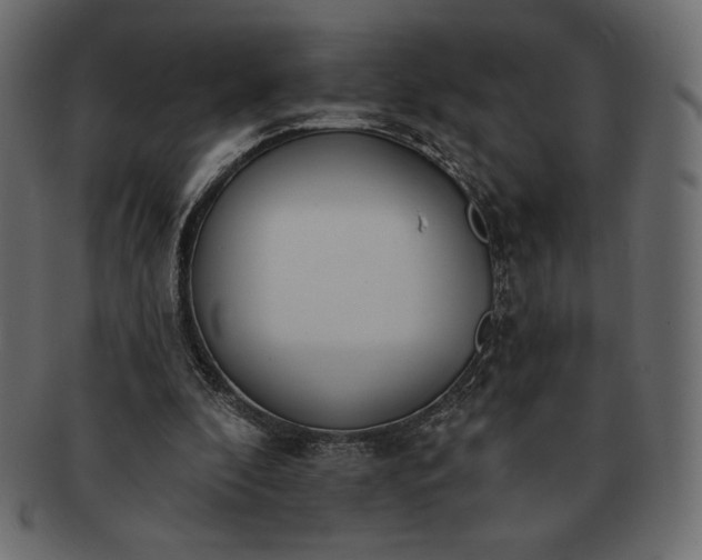 X0000091700296200709071355