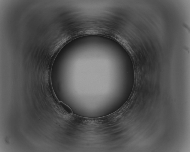 X0000091700297200709071355