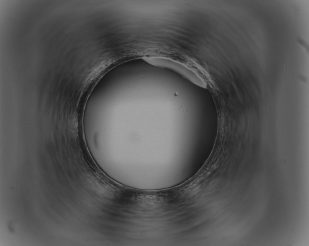 X0000091700298200709071355