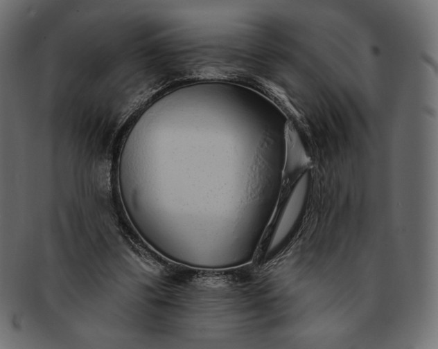 X0000091700299200709071355