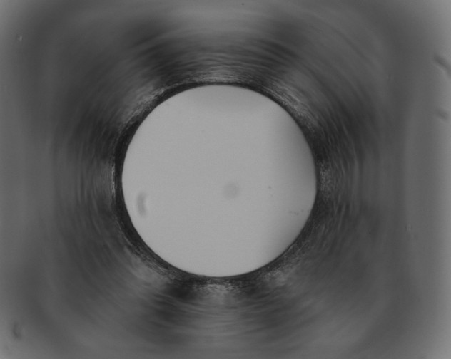 X0000091700302200709071355