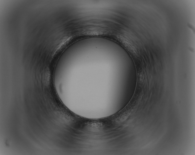 X0000091700304200709071355