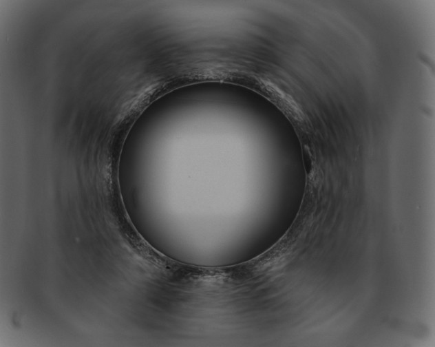 X0000091700306200709071355