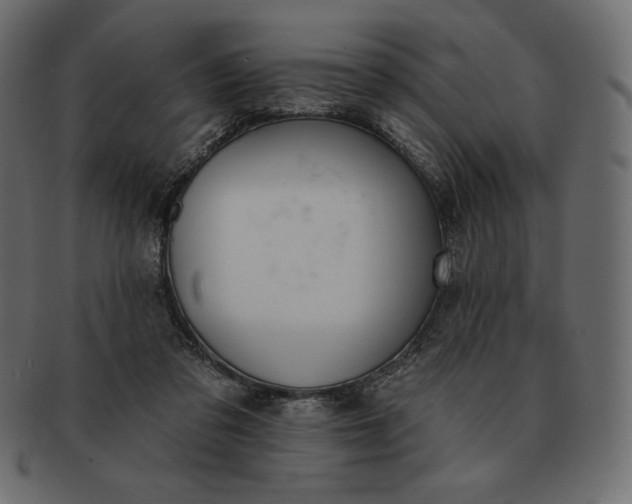 X0000091700309200709071355