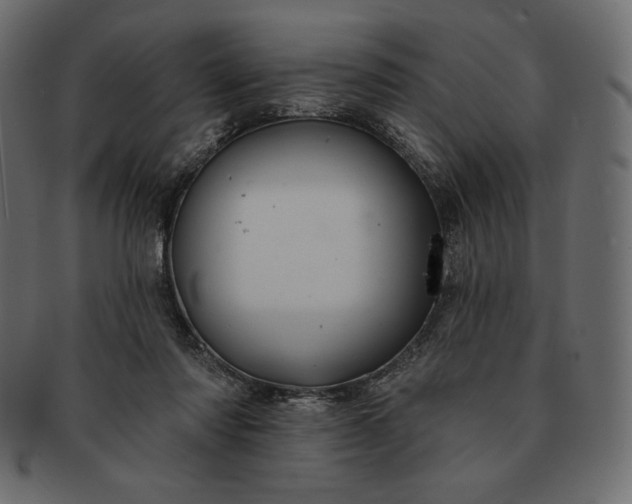 X0000091700310200709071355