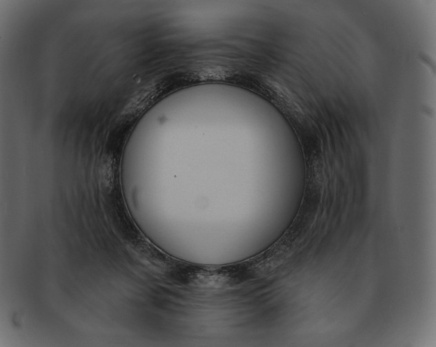 X0000091700311200709071355