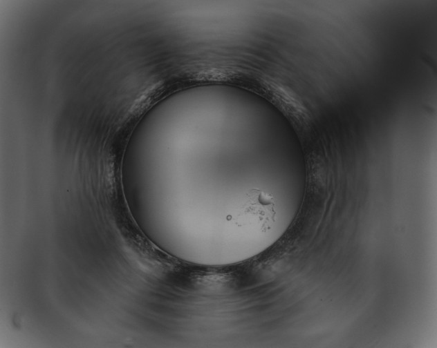 X0000091700312200709071355