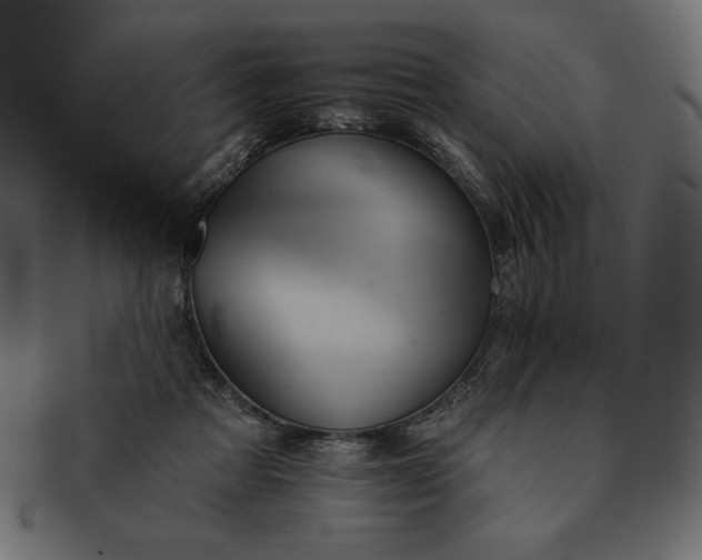 X0000091700313200709071355