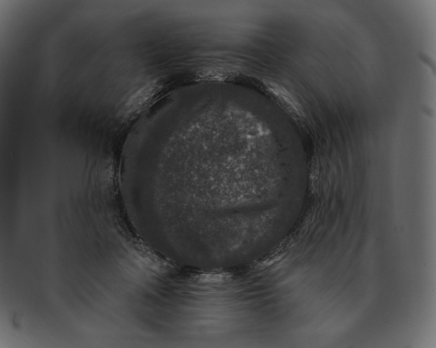 X0000091700314200709071355