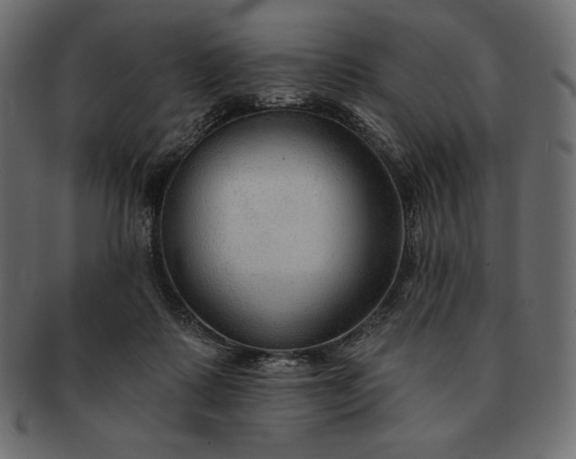 X0000091700315200709071355