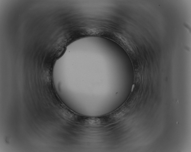 X0000091700317200709071355