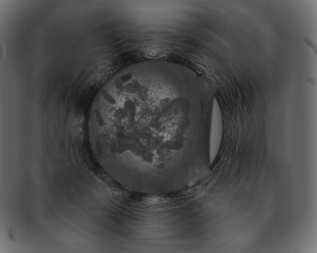 X0000091700319200709071355