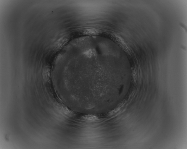 X0000091700322200709071355